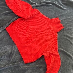 Red Ribbed Turtleneck Sweater